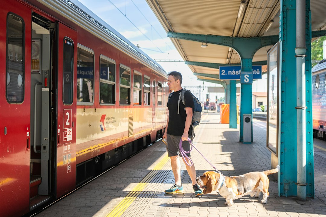 A service dog at a train platform